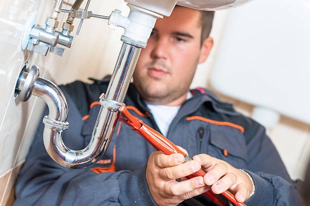 Best Garbage Disposal Repair and Installation  in Trezevant, TN